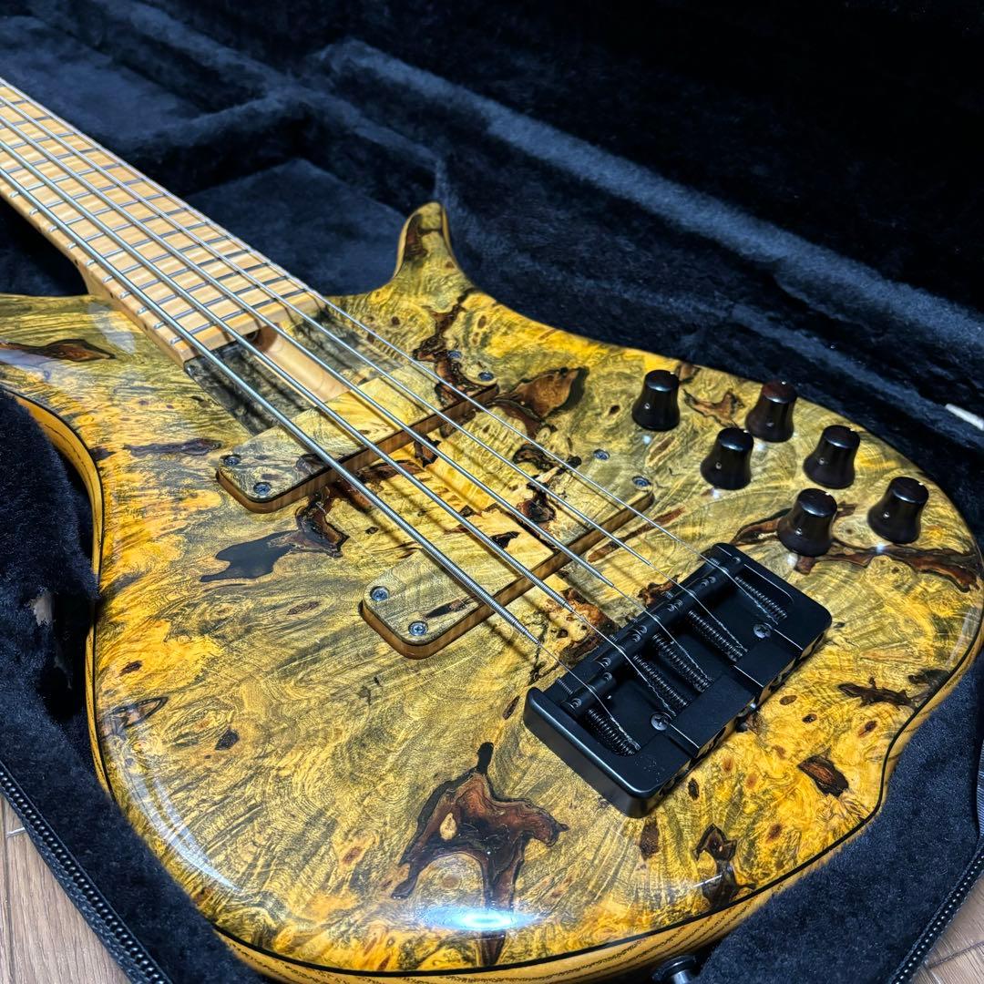 ベース F bass BN-5 buckeye burl