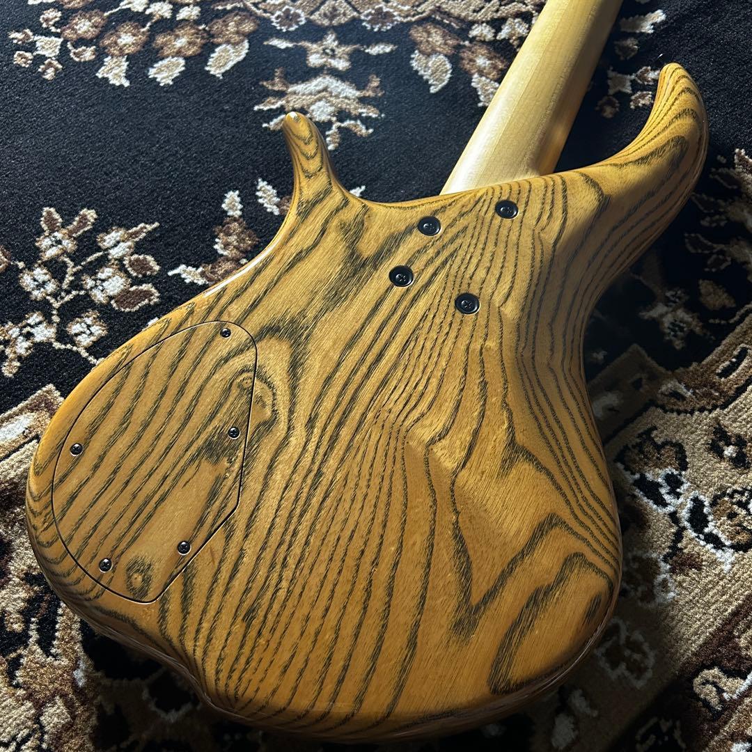 ベース F bass BN-5 buckeye burl