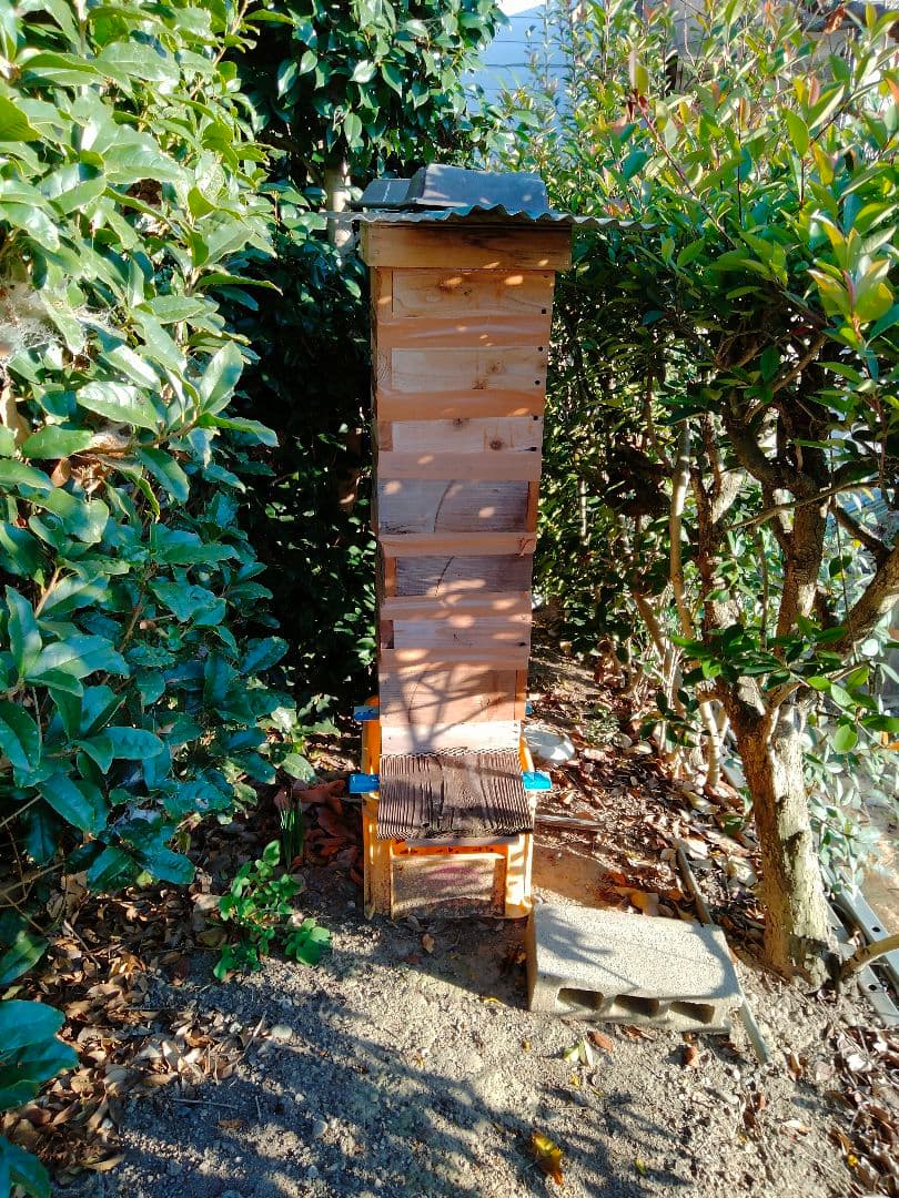 日本蜜蜂　百花蜜　600g×2　天然非加熱　　完熟2年物　ハチミツ