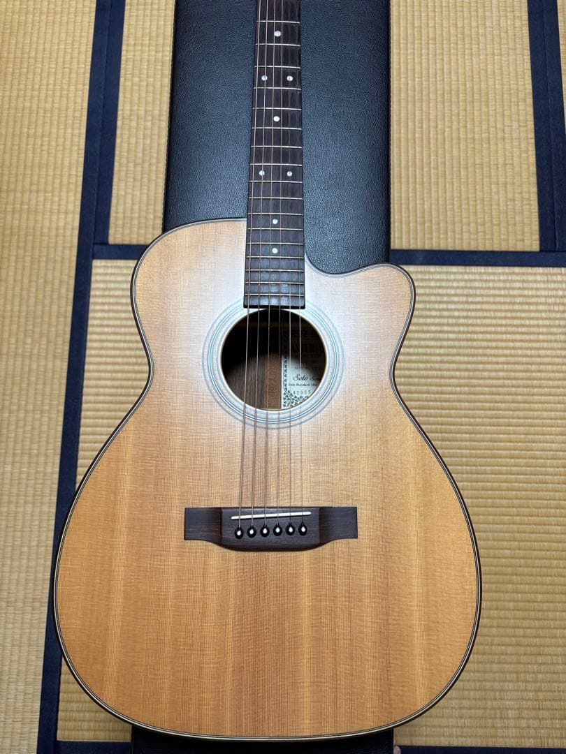 Asturias Solo Standard 国産　最終値下げ