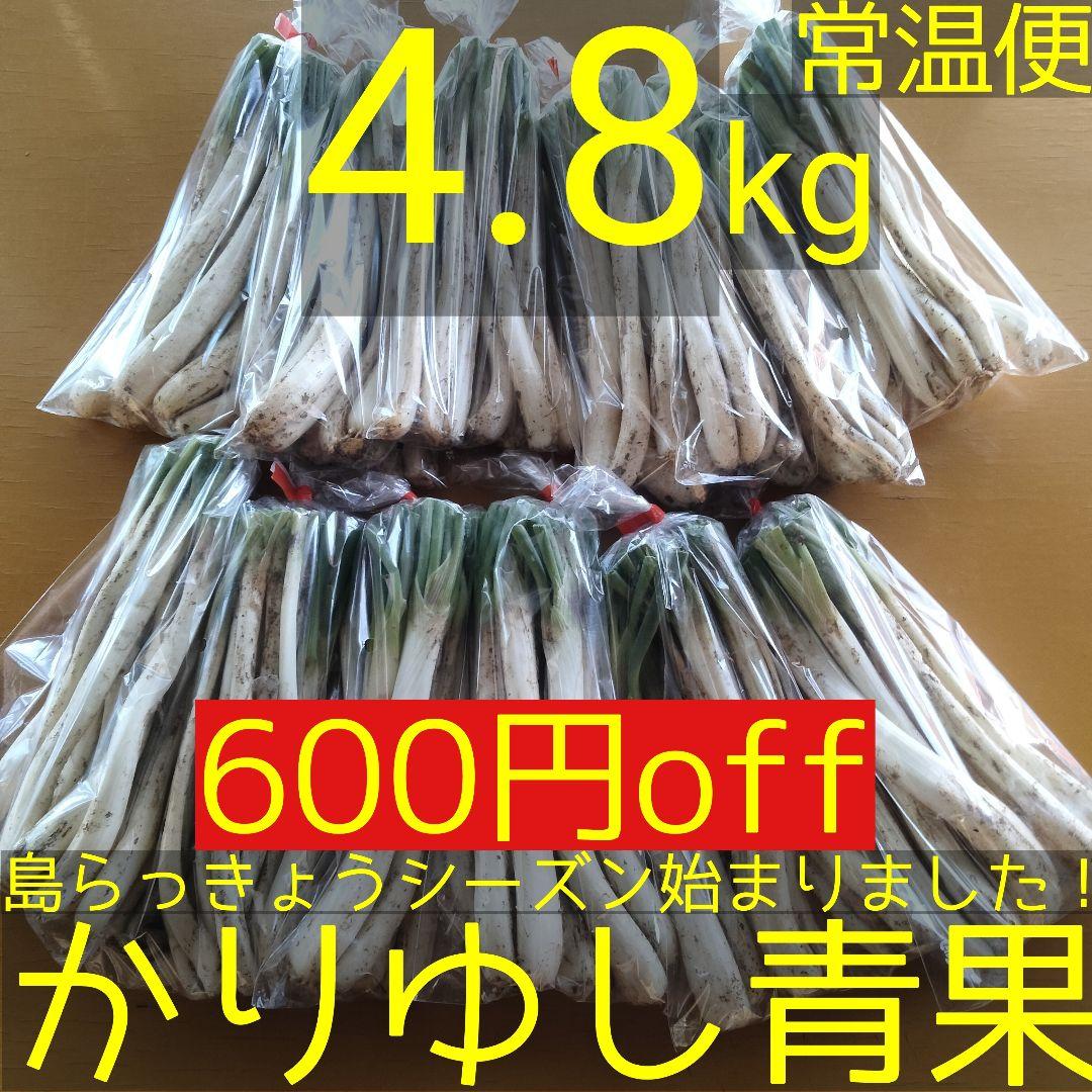 【600円off】〈新物〉沖縄県産 島らっきょう 約4.8kg【常温便】①