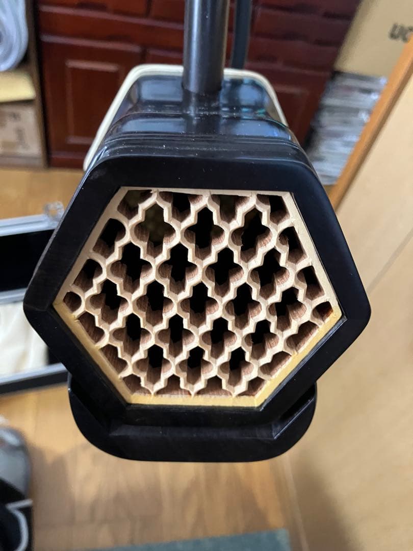 中国二胡　秋生露竹風荷外　敦煌製