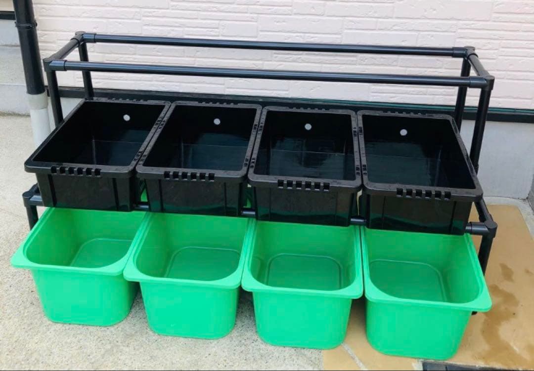 メダカ飼育ラック ブラック【接着剤付】 NVBOX13を12個置けます