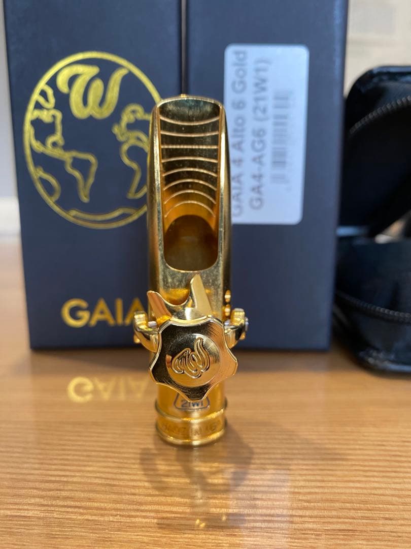 セオワニ ガイア4 アルト 6番