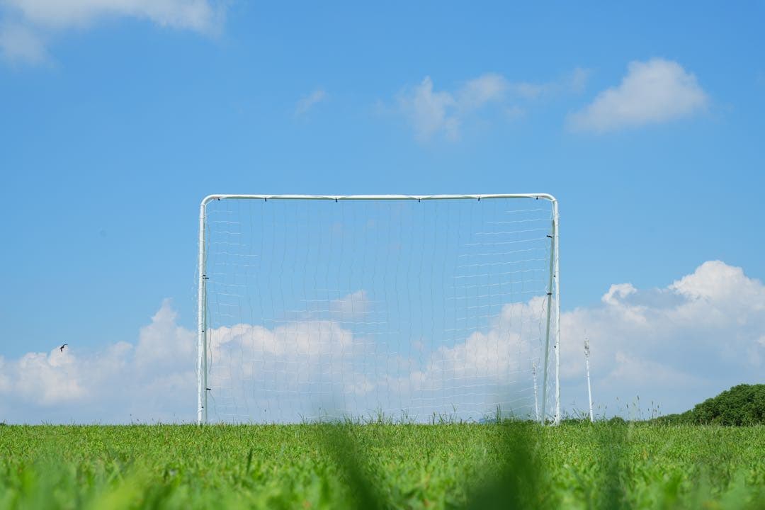 期限セール フットサルゴール  室内外兼用 公式サイズ キャリーバッグ付き