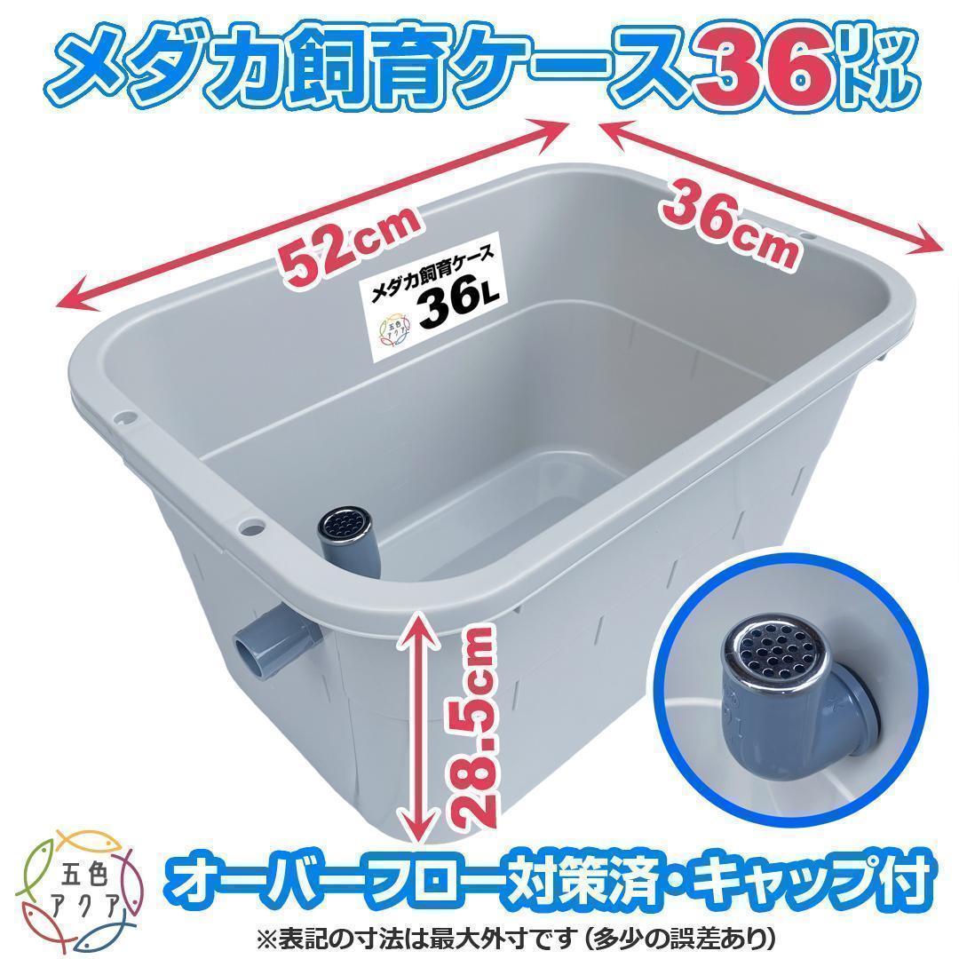 メダカ飼育ケース 36㍑x5個（4色あり） オーバーフロー対策済 金魚飼育容器