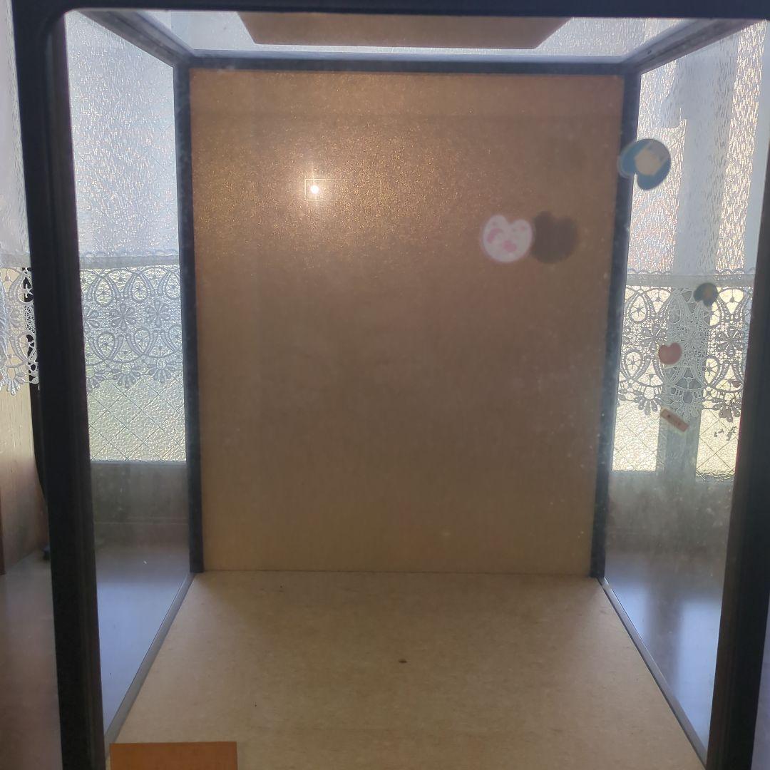 【和紙人形 ガラスケース付】雪化粧 日本人形 傘付き