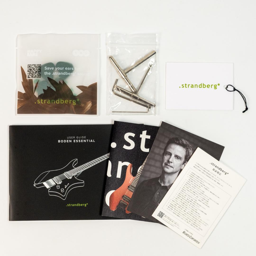 ギター Strandberg Boden Essential 6 Astro Dust