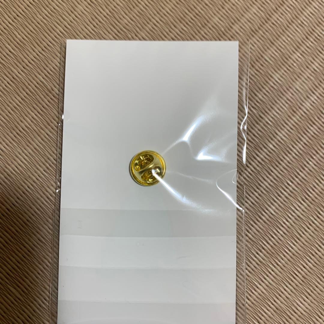 EXPO 2025 万博　大屋根リング　ピンバッジ