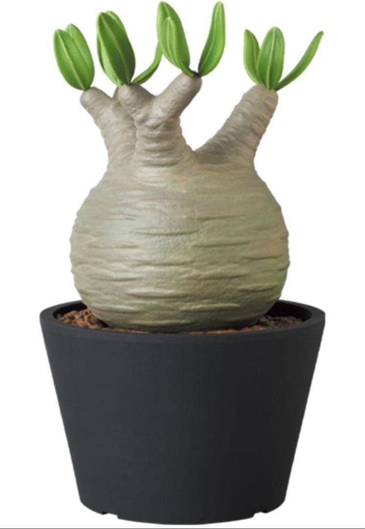 ボタナイズ メディコムトイ フィギュアbotanize 初期　VCD 1st