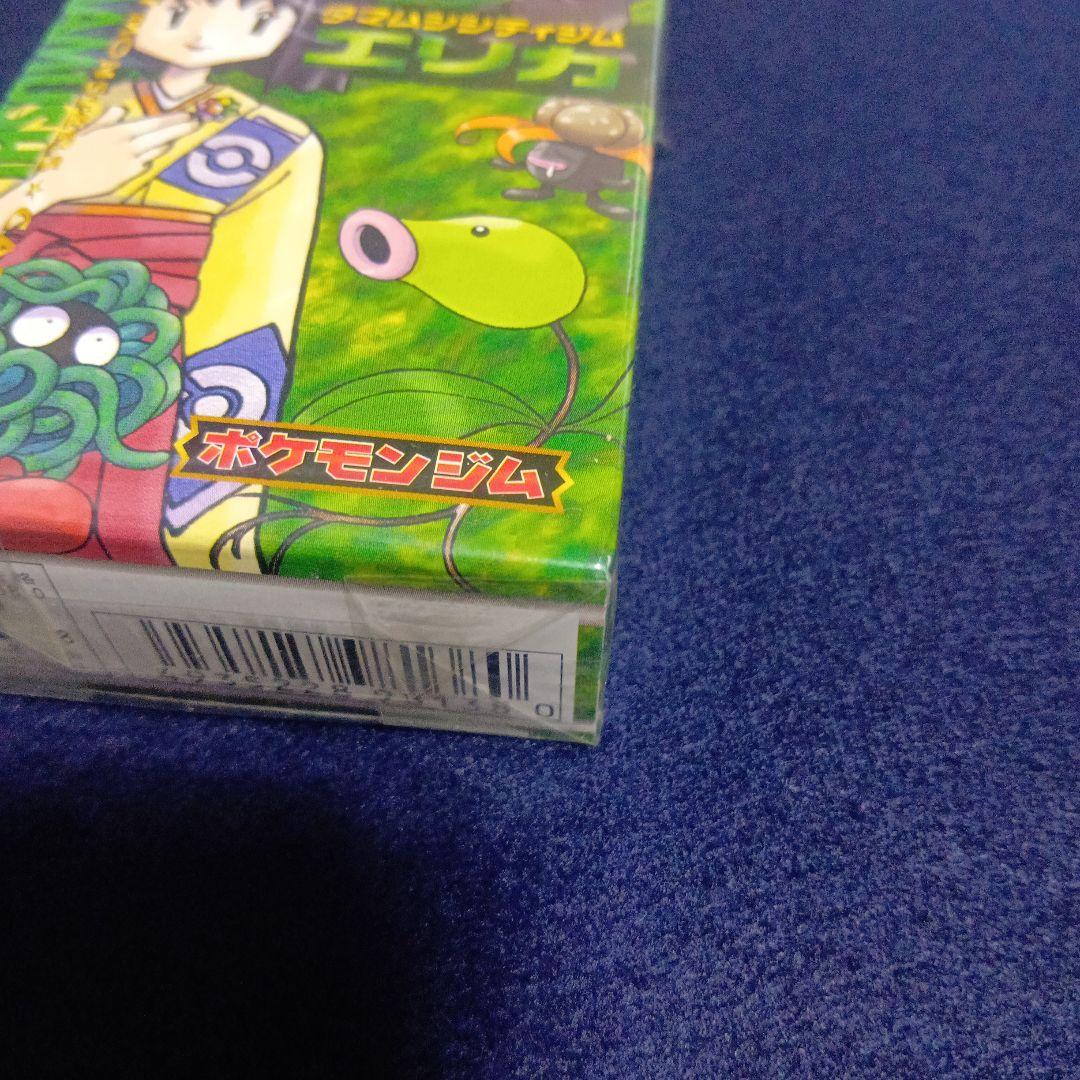 タマムシシティジム　エリカ