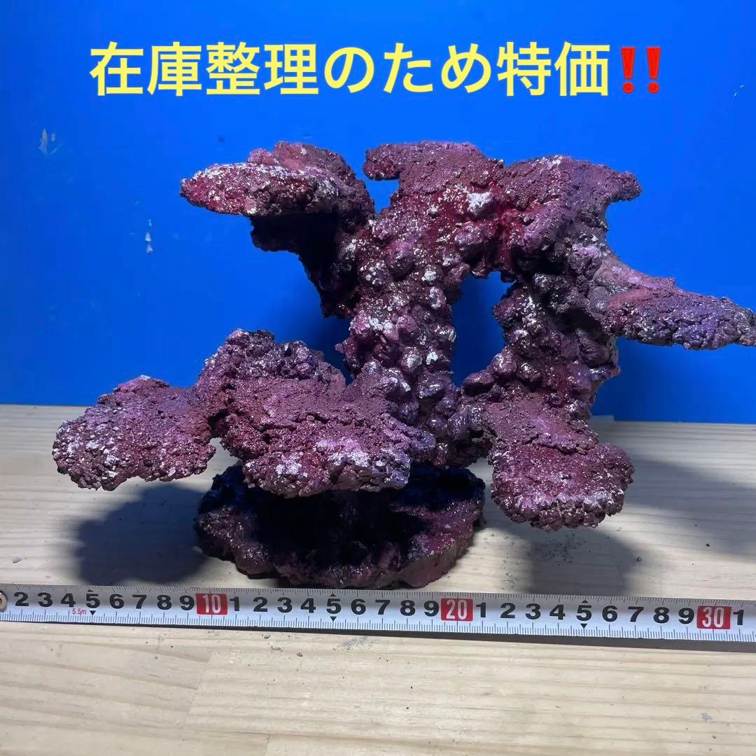 人工ライブロック　SHR06 アク抜き済み安心塗料使用