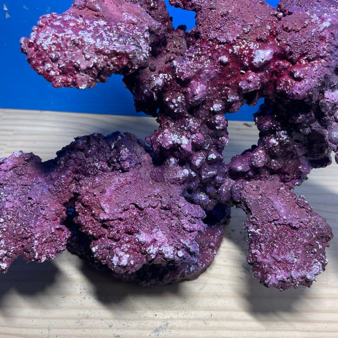 人工ライブロック　SHR06 アク抜き済み安心塗料使用