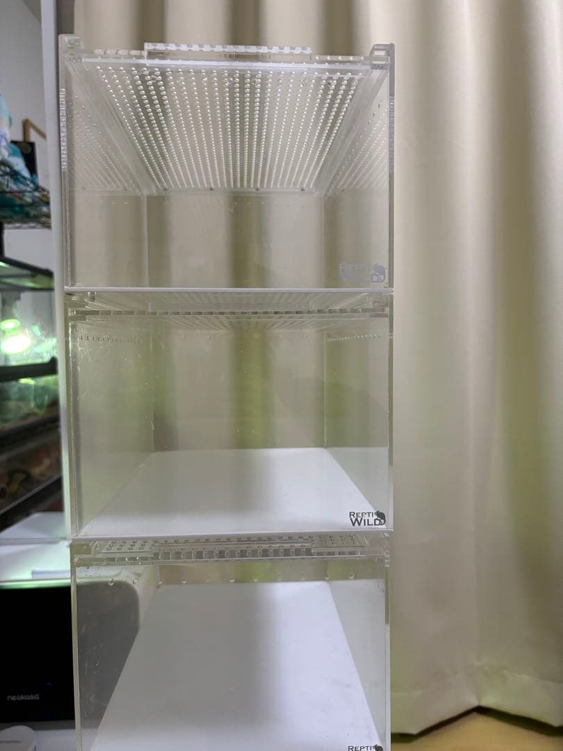 レプタイルボックス