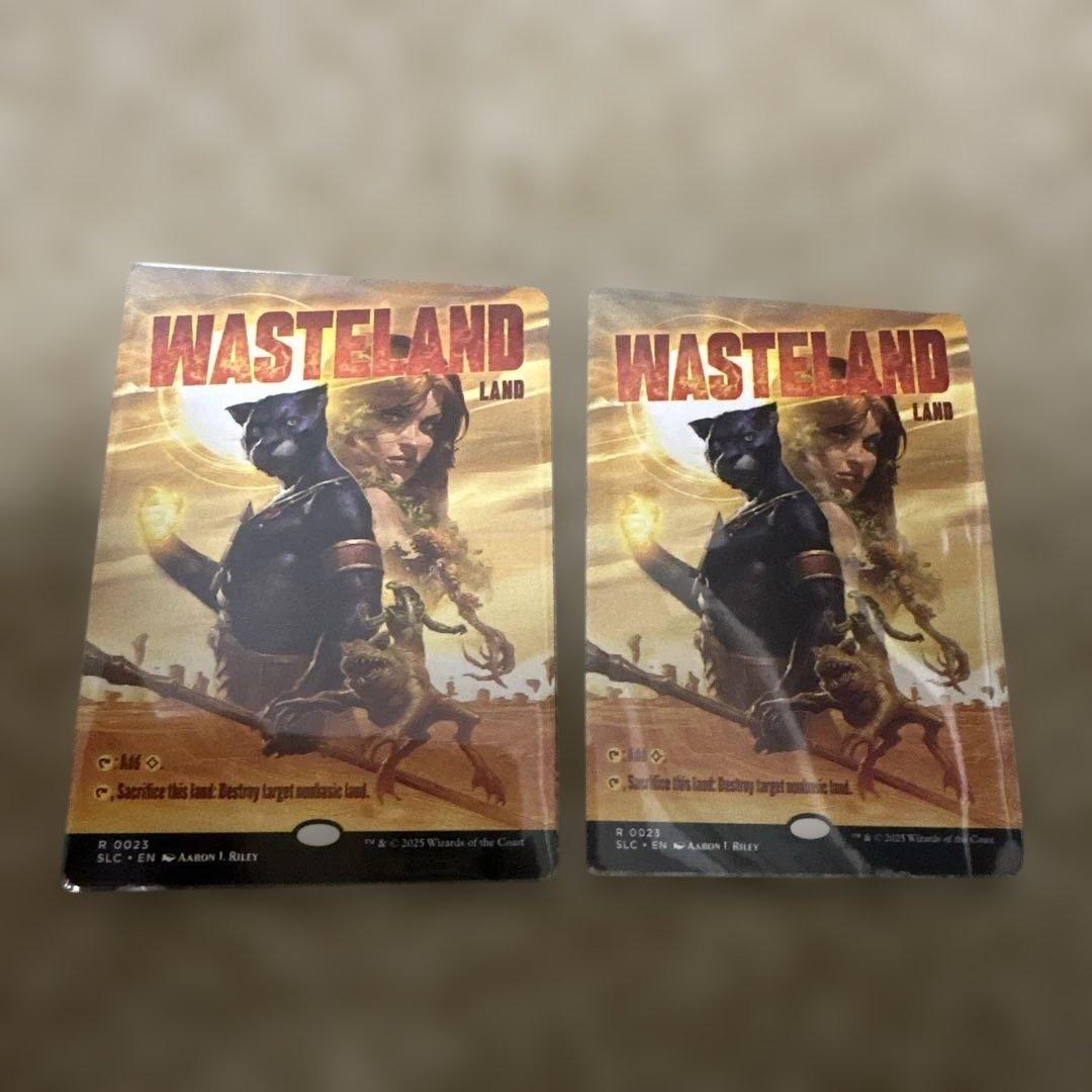 MTG 不毛の大地2枚セット