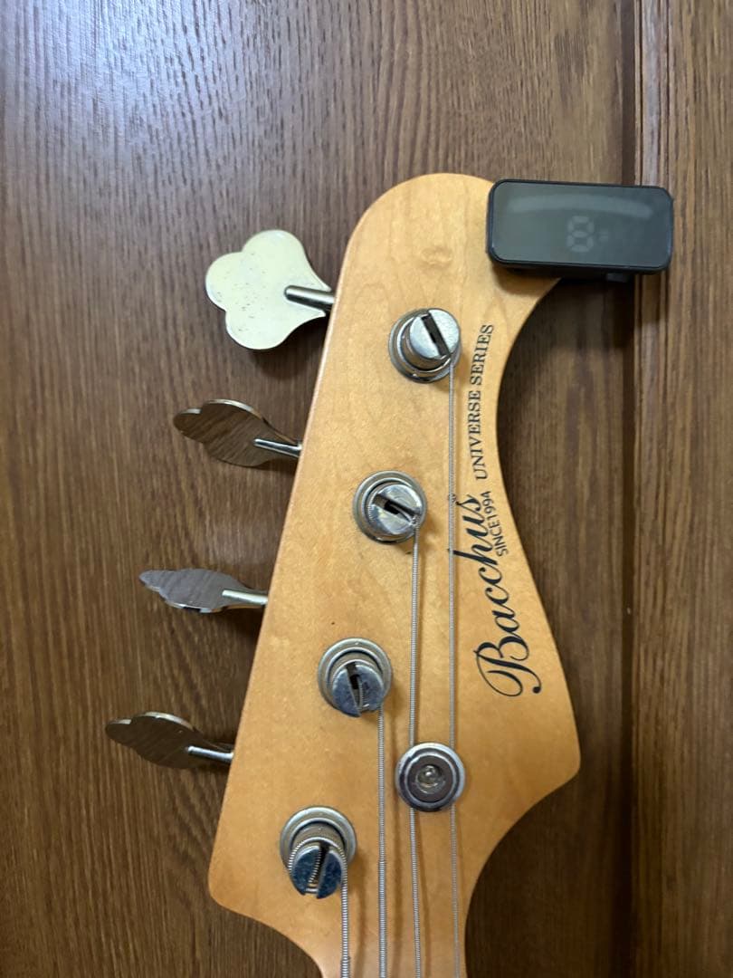 bucchus エレキベース　ソフトケース付き