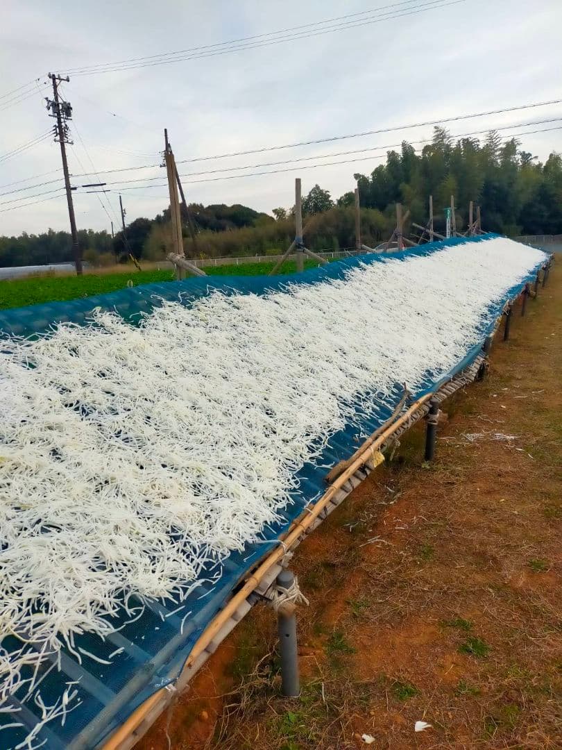 大根切り干し10キロ