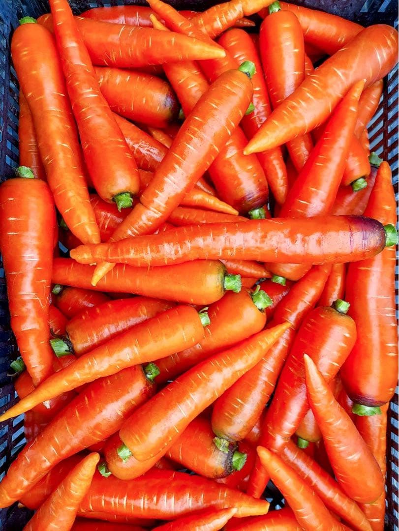 堀農園★野菜7品＆栽培期間中農薬不使用米5kgセット