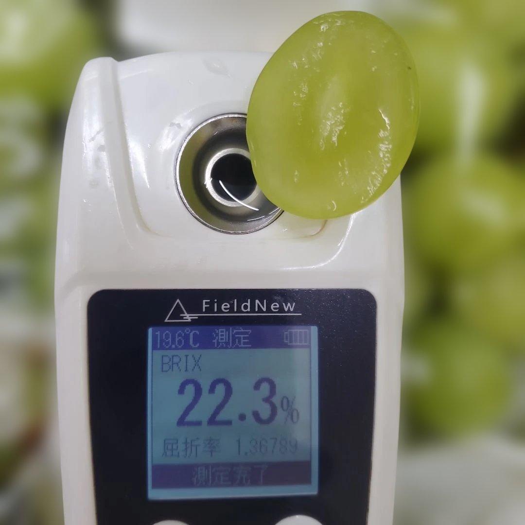 6️⃣ 山梨県産 シャインマスカット １０房入り 箱込み5.4キロ