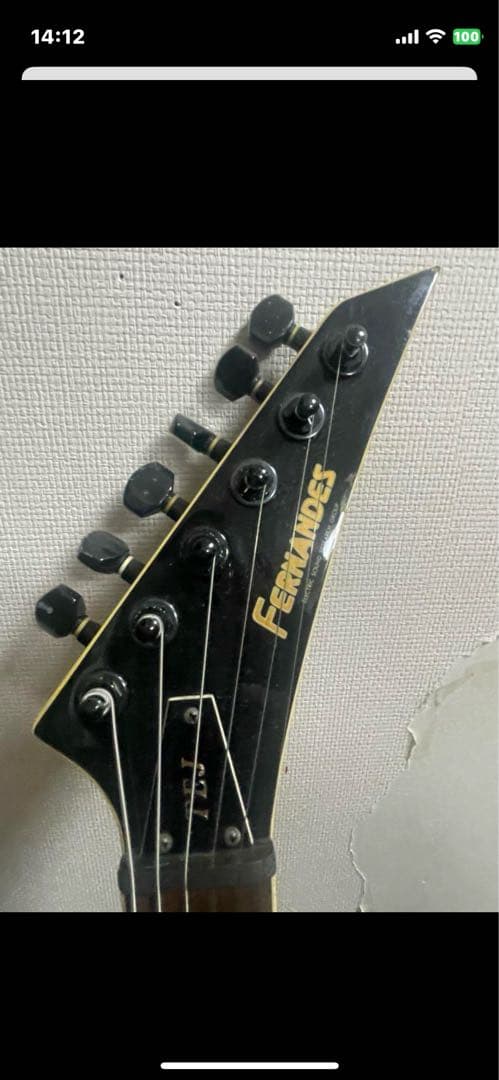 早い者勝ち FERNANDES mini TEJ