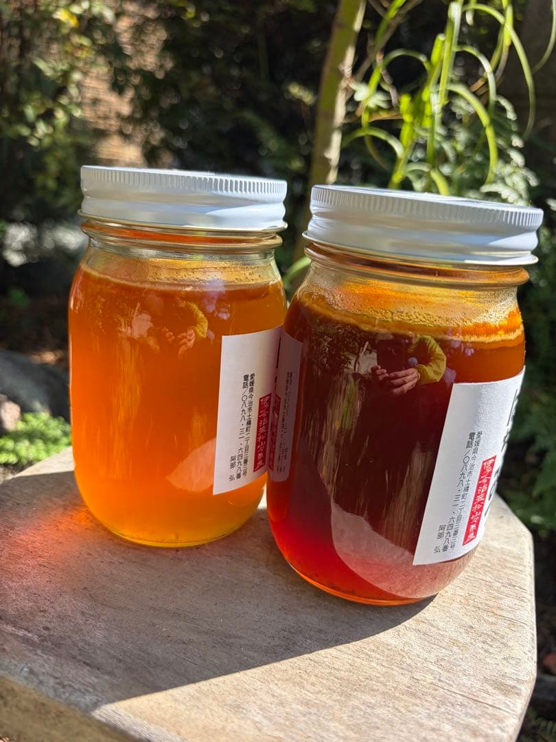 はちみつ　日本蜜蜂のハチミツ　奥山の奥と花粉入り蜂蜜
