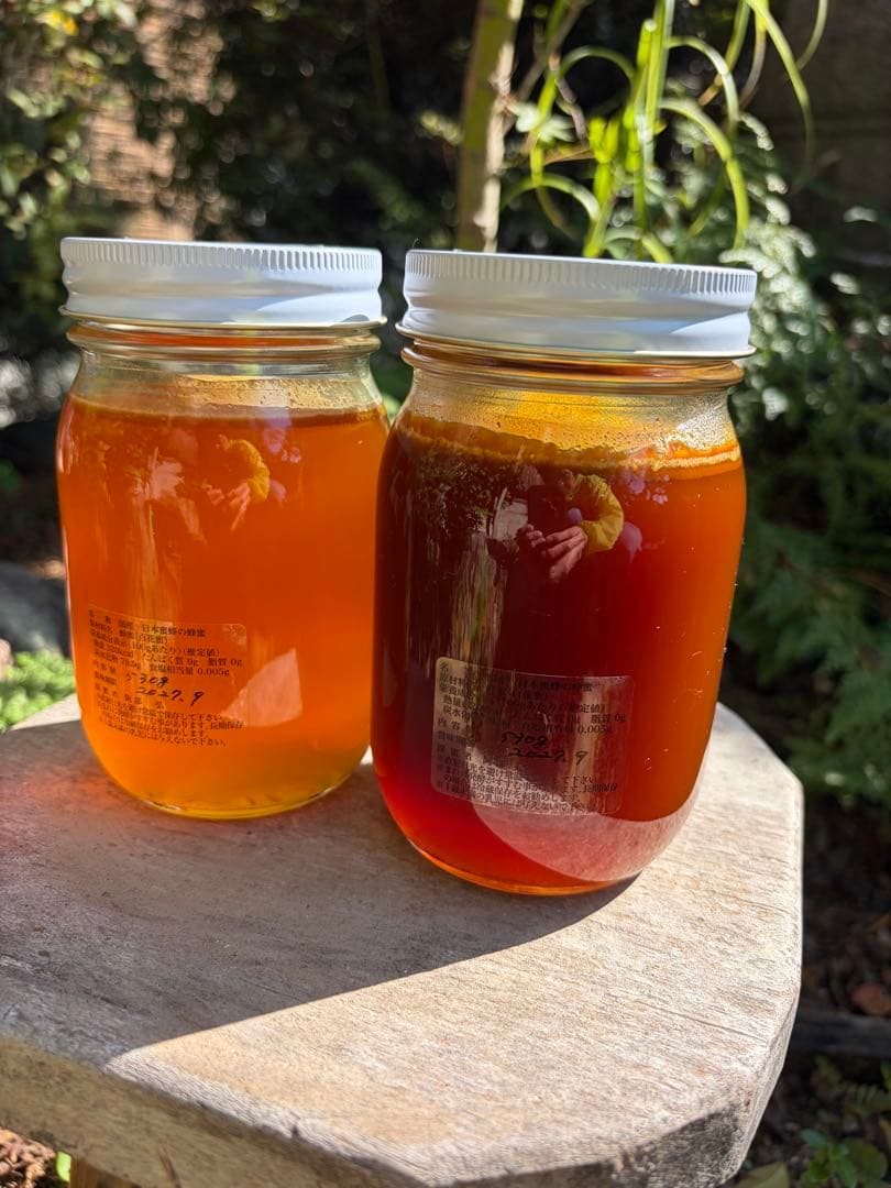 はちみつ　日本蜜蜂のハチミツ　奥山の奥と花粉入り蜂蜜