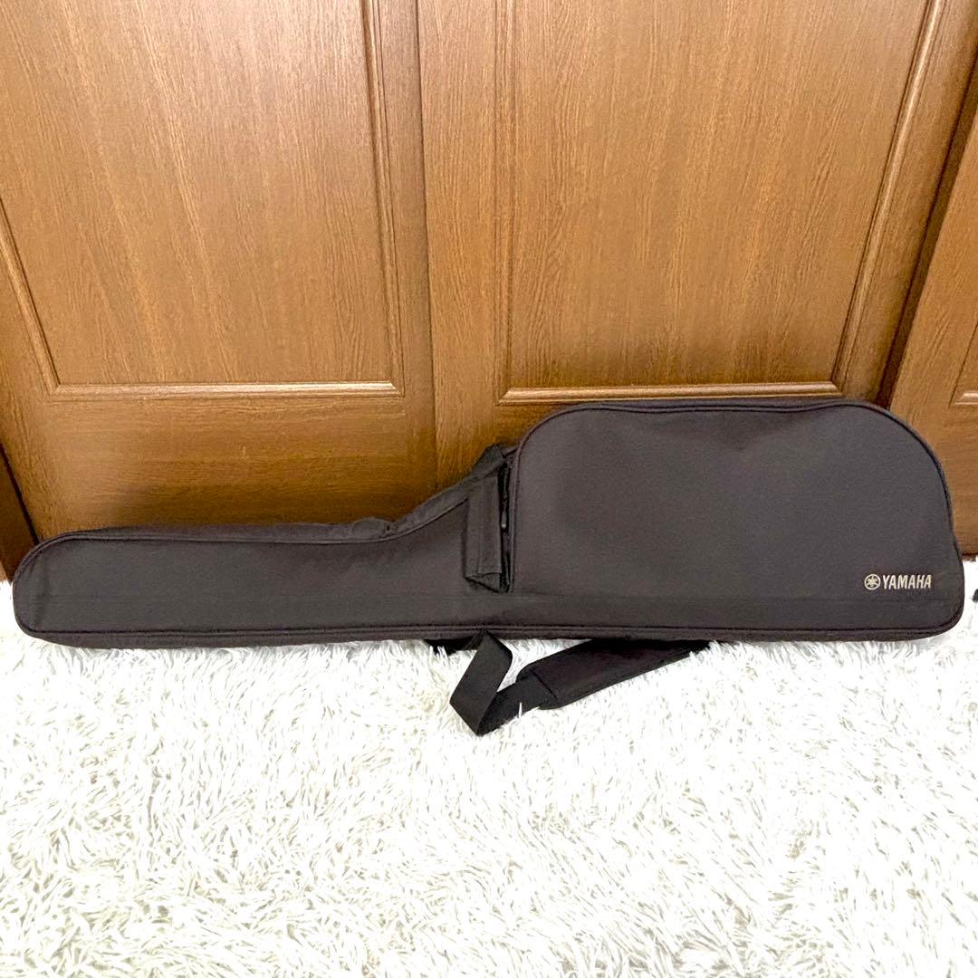 ✨極美品✨SLG200S NT サイレントギター　アコースティックギター