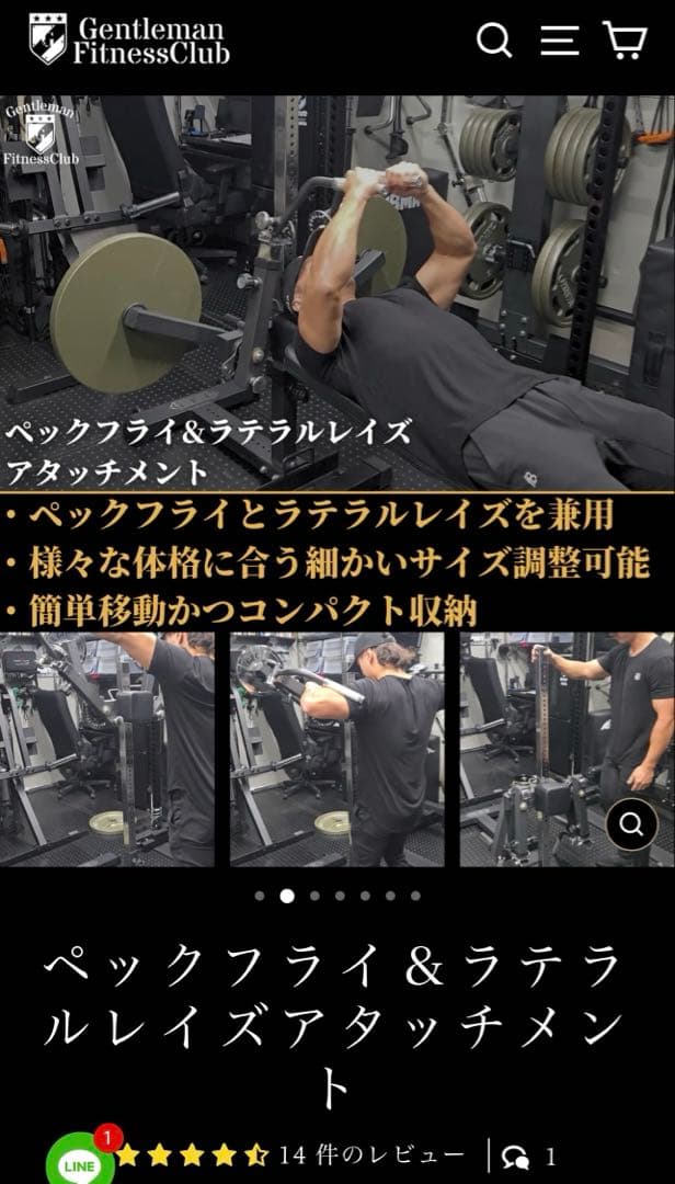 GFCペックフライ&ラテラルレイズ　アタッチメント