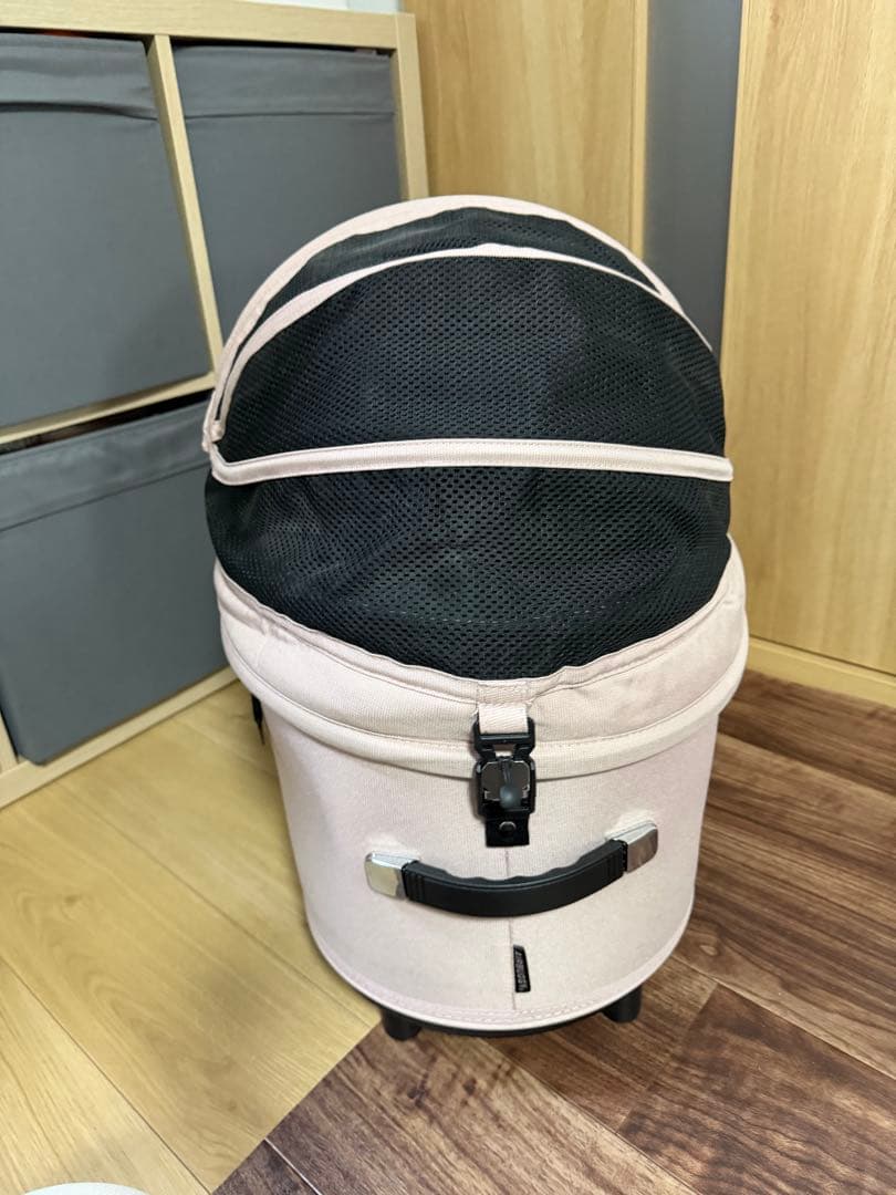 エアバギー ドーム3 レギュラー ブロッサム