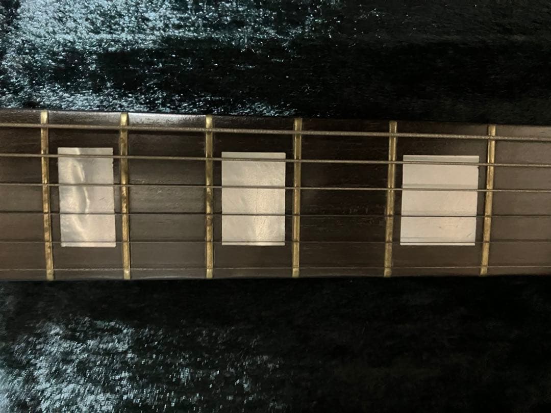 パニはげ ESP INORAN ILP-00 DRAGON