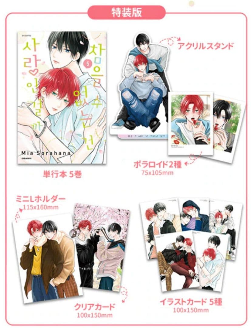 たまらないのは恋なのか　韓国特装版　空華みあ