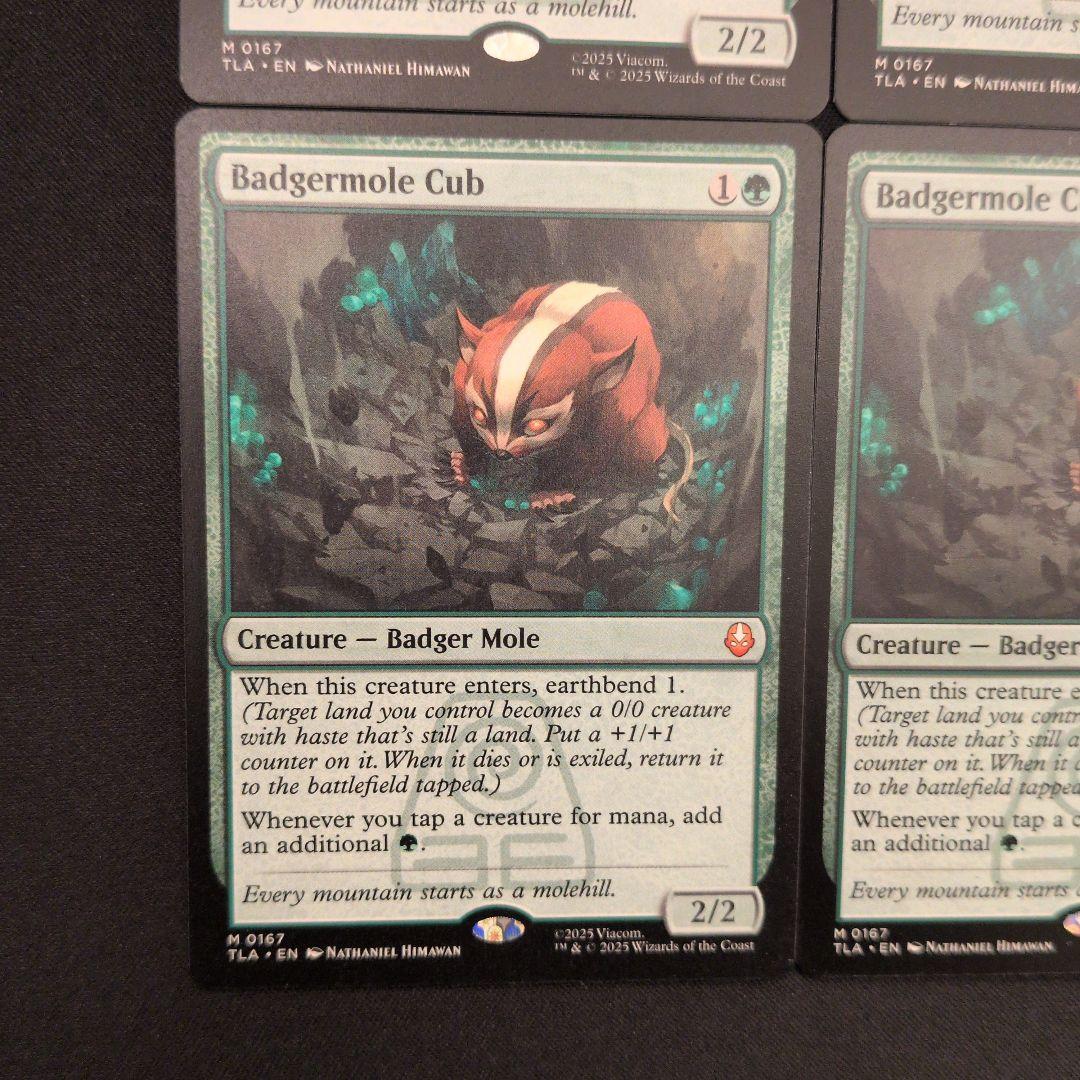 アナマモグラの仔 TLA 英語 4枚