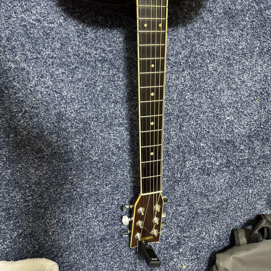 アコースティックギター スプルースボディ 6弦