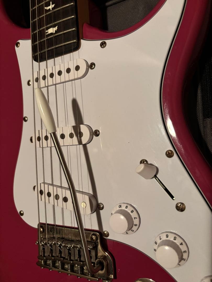 【たこやき】PRS SE Silver Sky