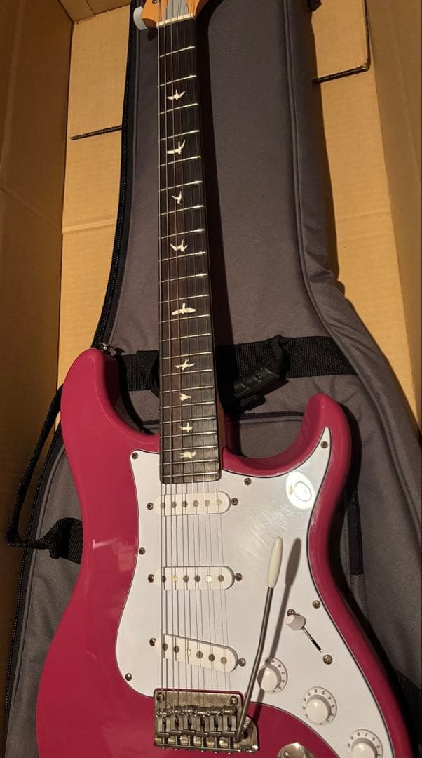 【たこやき】PRS SE Silver Sky