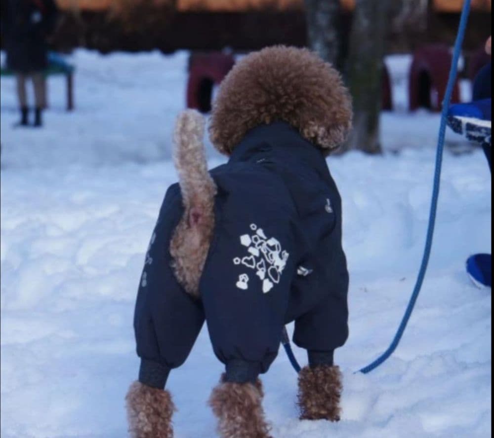 Hurtta エクストリームオーバーオール 犬用防寒オーバーオール グレイ30М