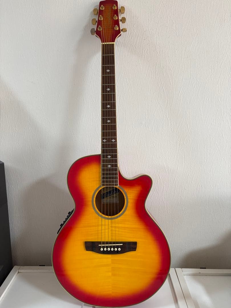 Cooler by Takamine アコースティックギター　TCP-480