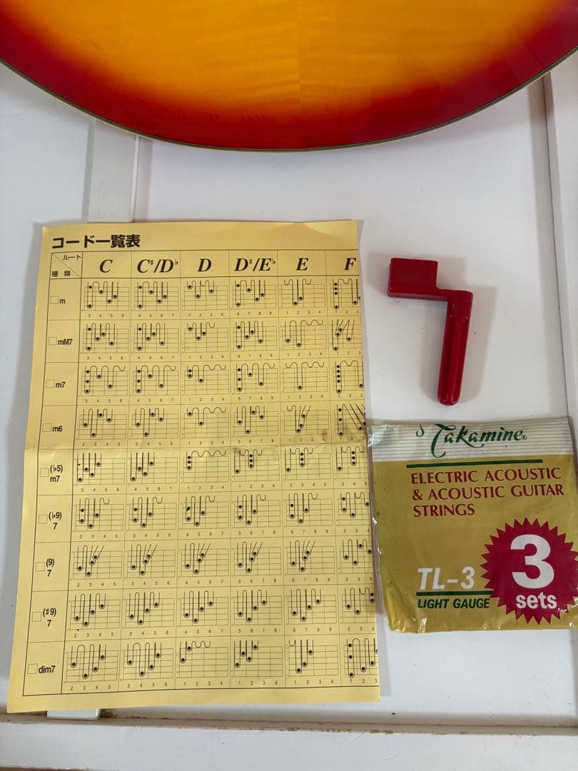 Cooler by Takamine アコースティックギター　TCP-480