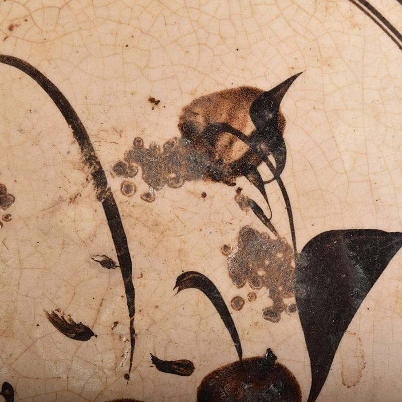 中国　磁州窯　鉄釉　花文　平鉢　裏千家十五代鵬雲斎極め箱　M　R8371