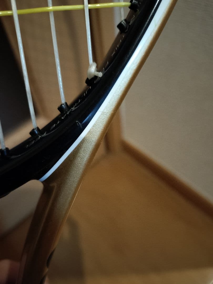 プロストック　H22