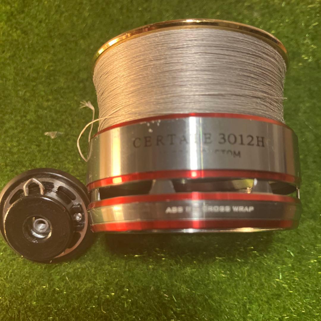 10CERTATE ハイギアカスタム　3012H