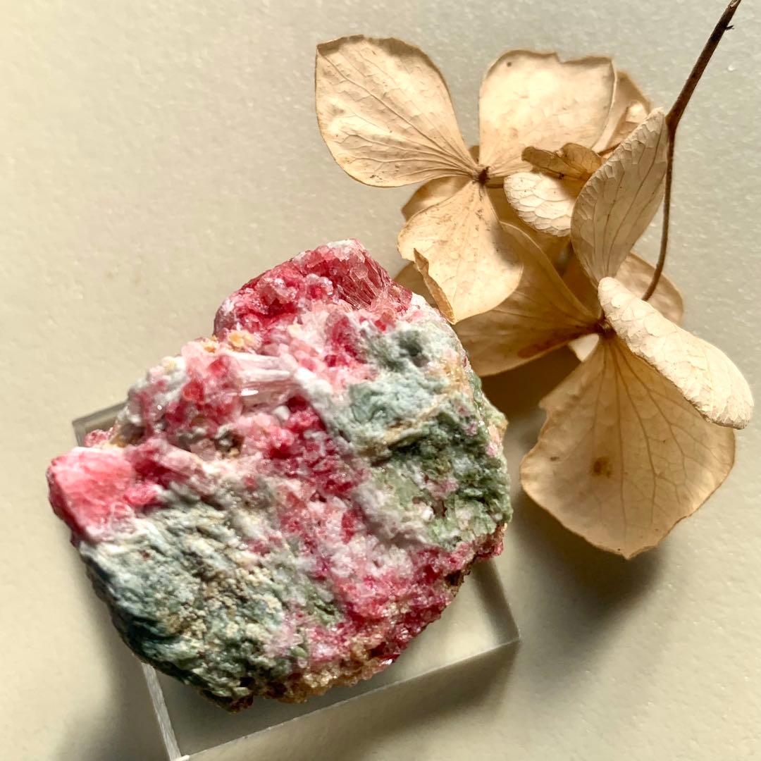 ウルトラレア！母岩上のマンガノクリノゾイサイト結晶/クリノチューライト？