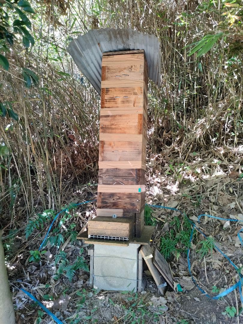 riviera808　日本ミツバチの巣蜜