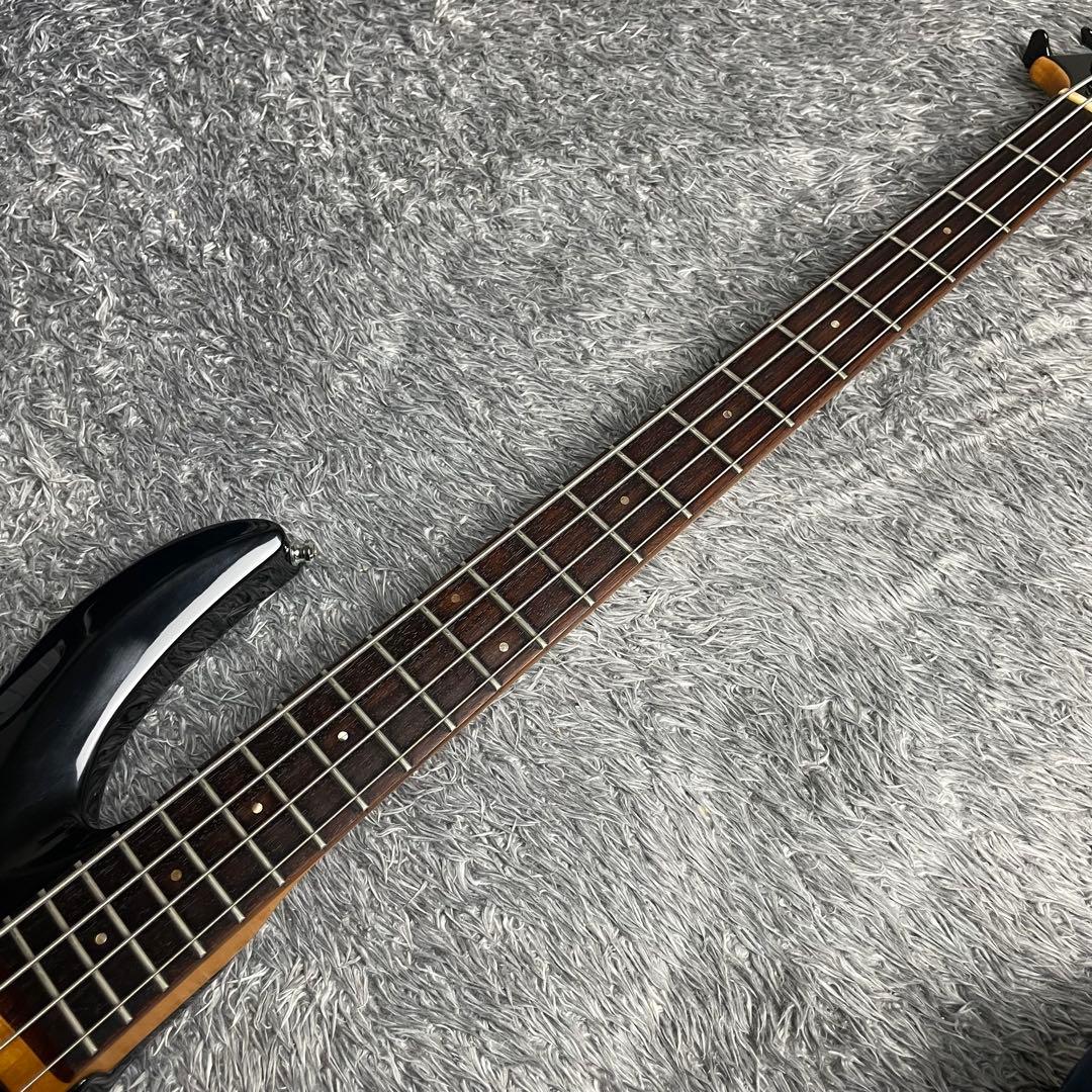 Edwards E-G-90B PENICILLIN GISHOモデル