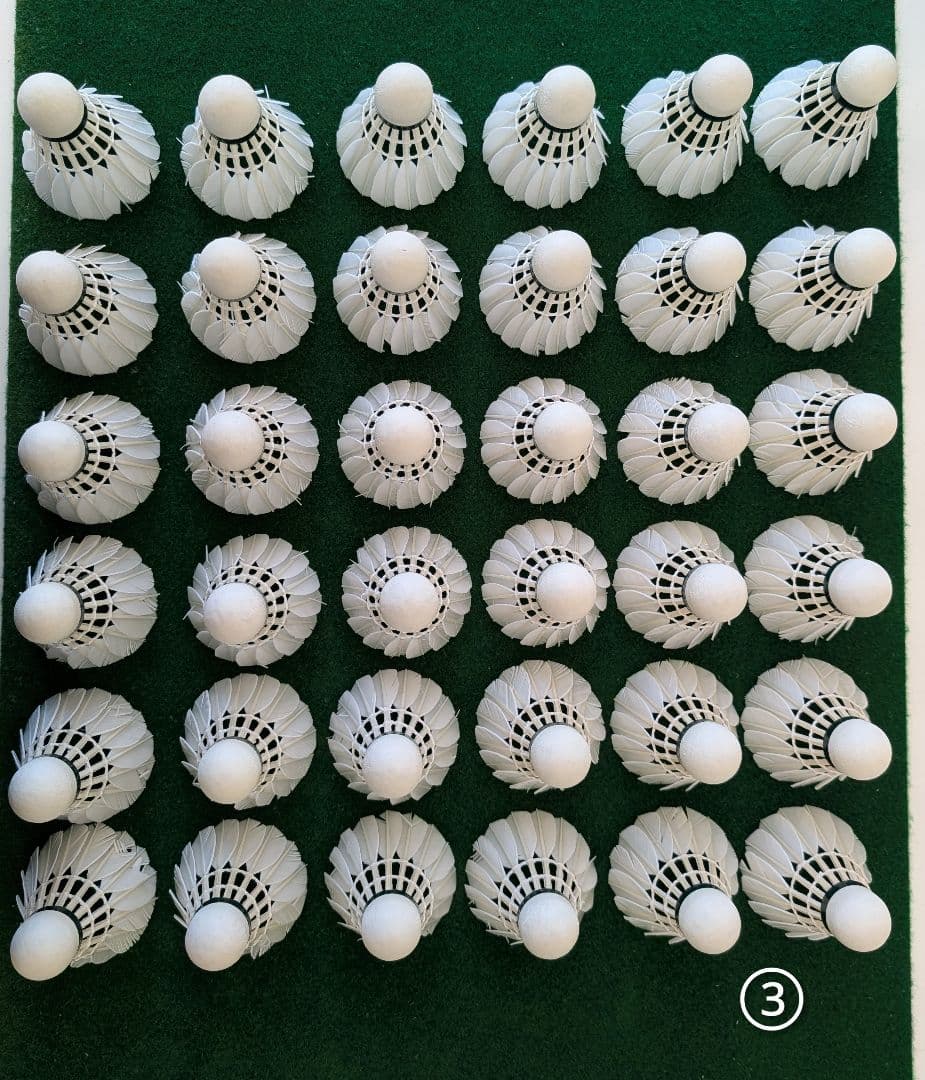 NEW OFFICIAL F4 10ダース