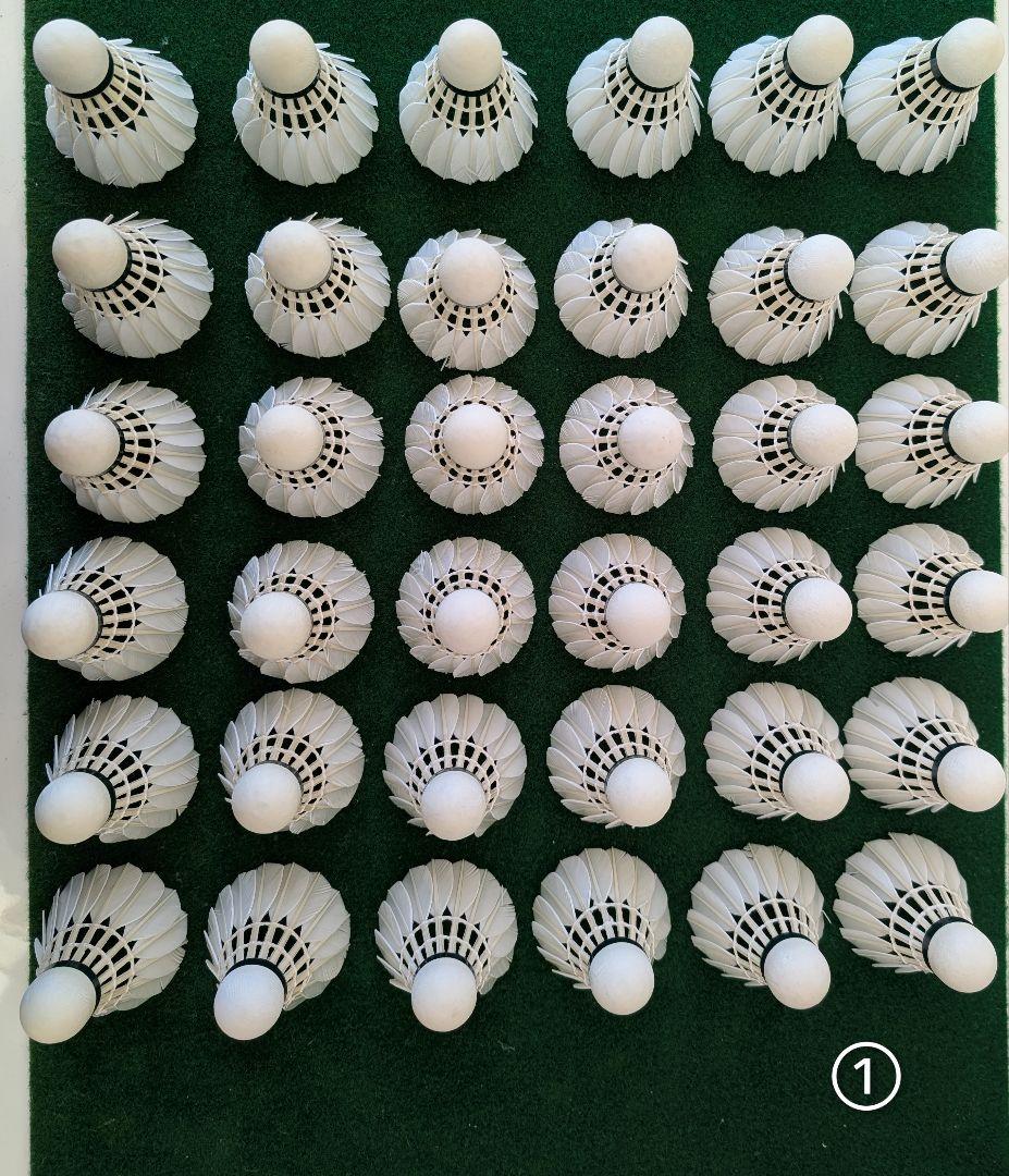 NEW OFFICIAL F4 10ダース