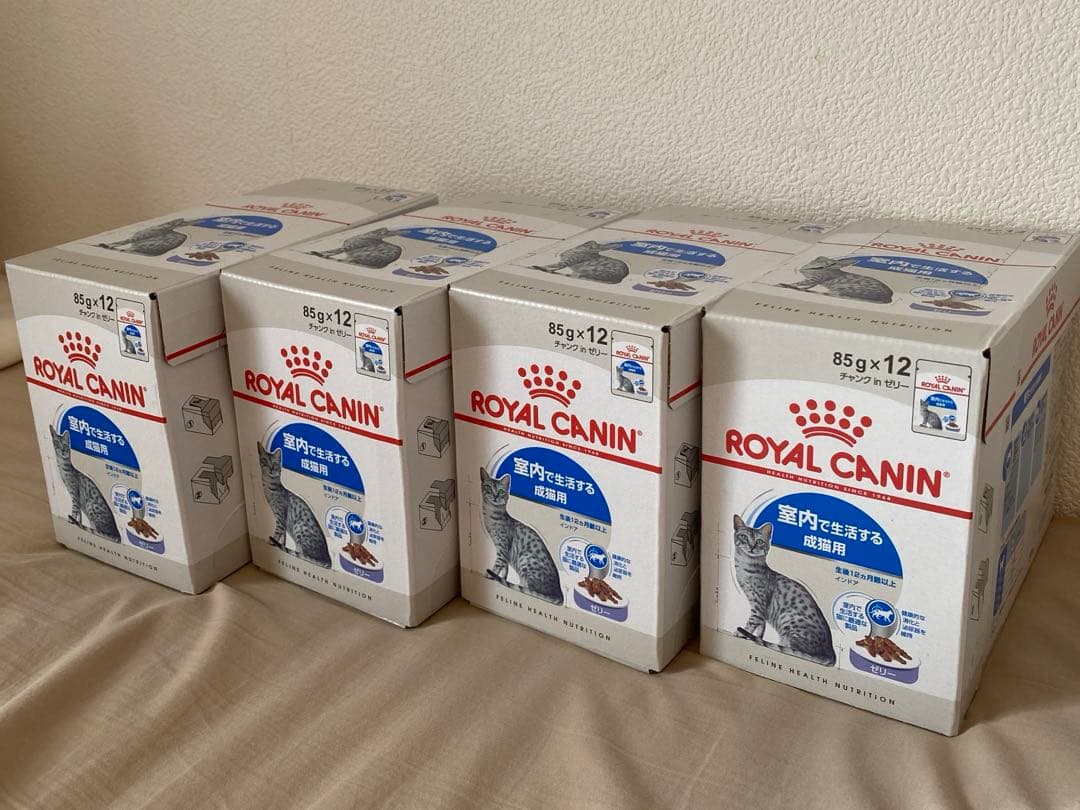 CANIN 猫　ウェット　85g12袋×４箱　インドア　ゼリー