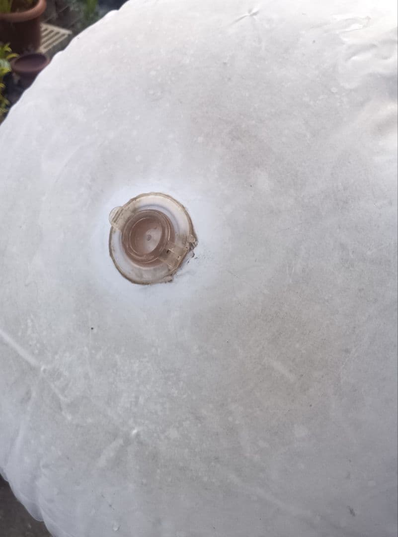 激レア 共石 デリスくん 特大 バルーンポップ エアーポップ 当時物