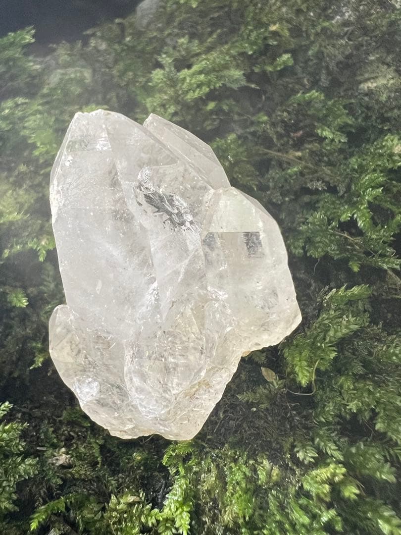 龍脈の精髄 虹入りカテドラル水晶宝石質AAA （売上の一部は保護猫活動に使用）