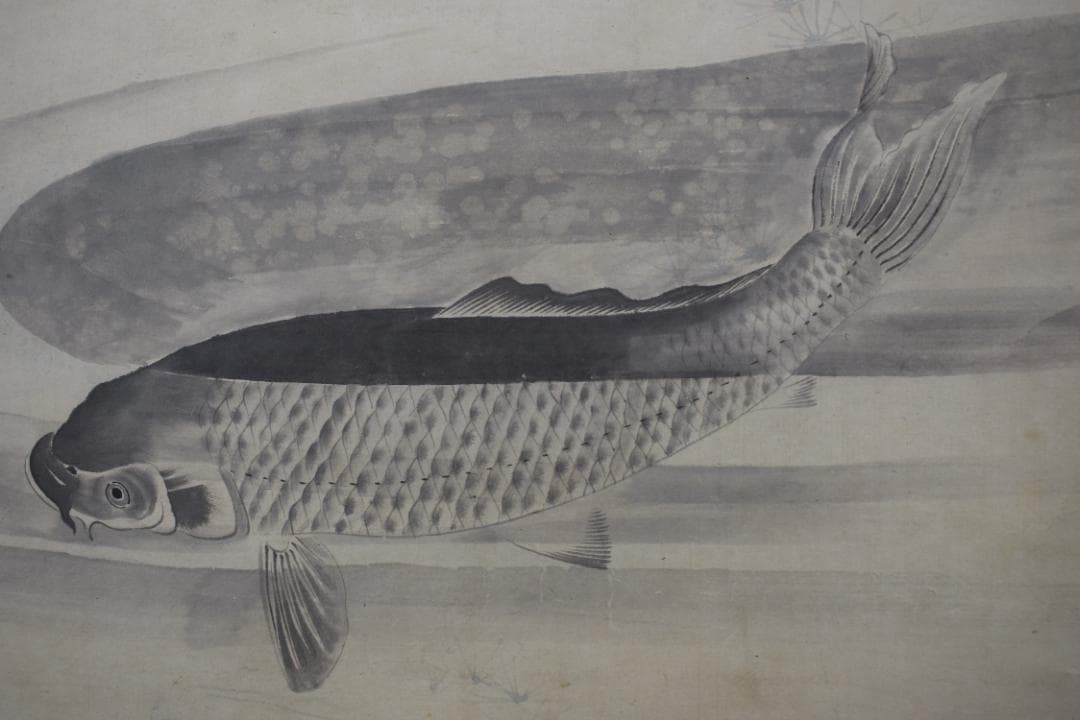 円山応挙/圓山応挙/鯉之図/掛軸☆宝船☆Y-486　JM